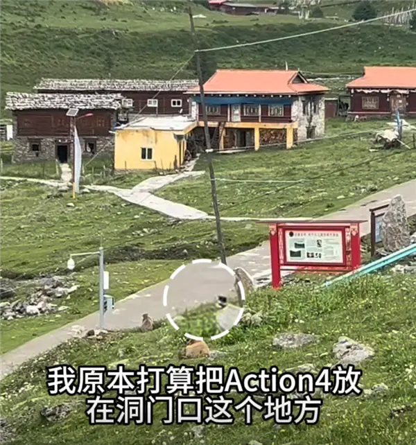 大疆Action 4被土撥鼠偷走 客服小姐姐都被逗笑了 大疆Action 4被土撥鼠偷走 客服小姐姐都被逗笑了