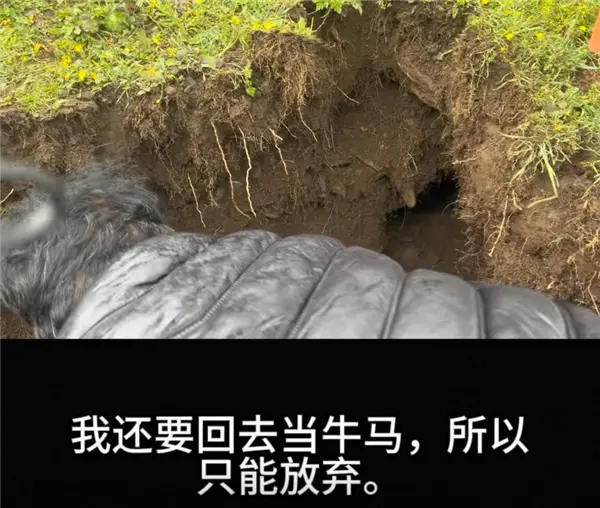 大疆Action 4被土撥鼠偷走 客服小姐姐都被逗笑了 大疆Action 4被土撥鼠偷走 客服小姐姐都被逗笑了