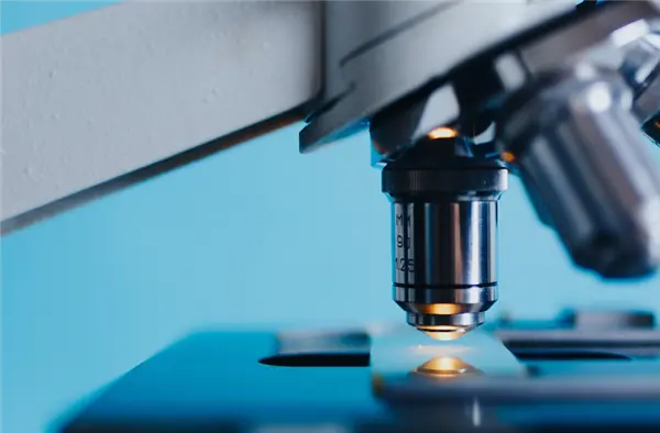 剛柔并濟!新型人造肌肉可舉起4000倍自重物體 剛柔并濟!新型人造肌肉可舉起4000倍自重物體